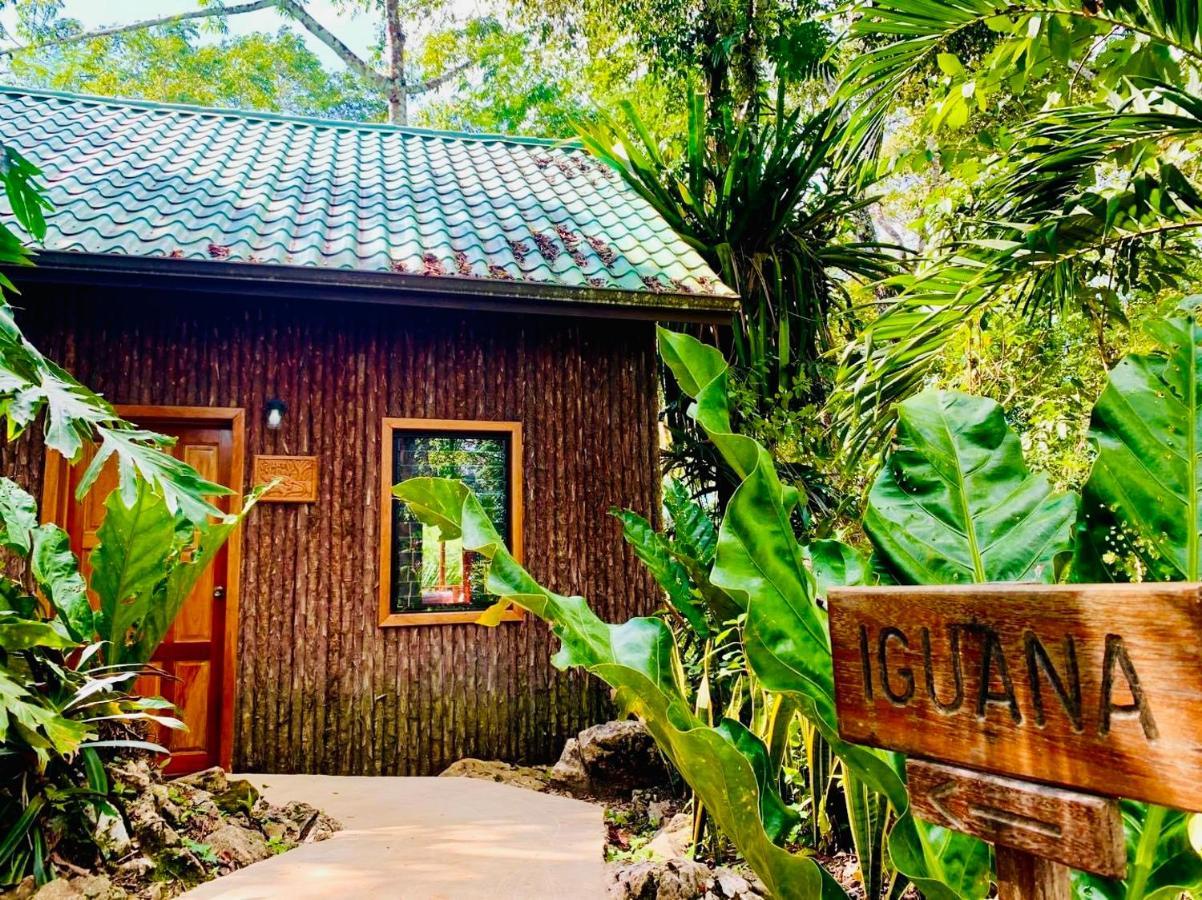 Mariposa Jungle Lodge San Ignacio Exteriör bild
