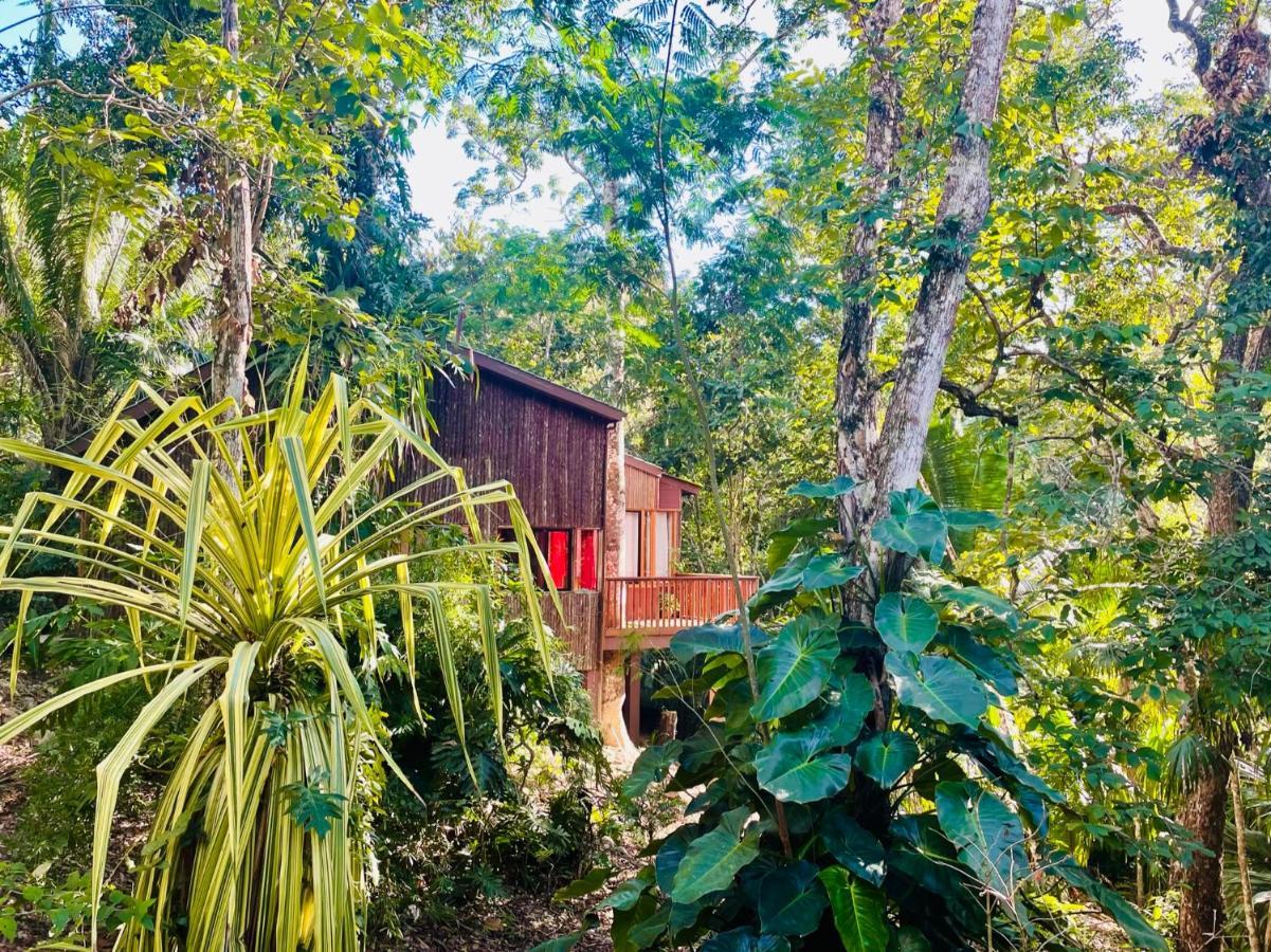 Mariposa Jungle Lodge San Ignacio Exteriör bild