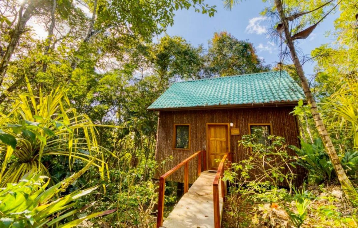 Mariposa Jungle Lodge San Ignacio Exteriör bild