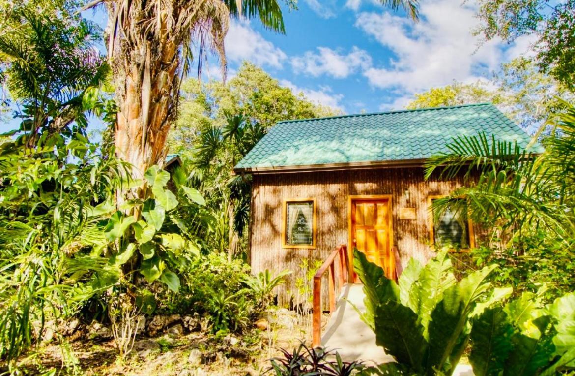 Mariposa Jungle Lodge San Ignacio Exteriör bild