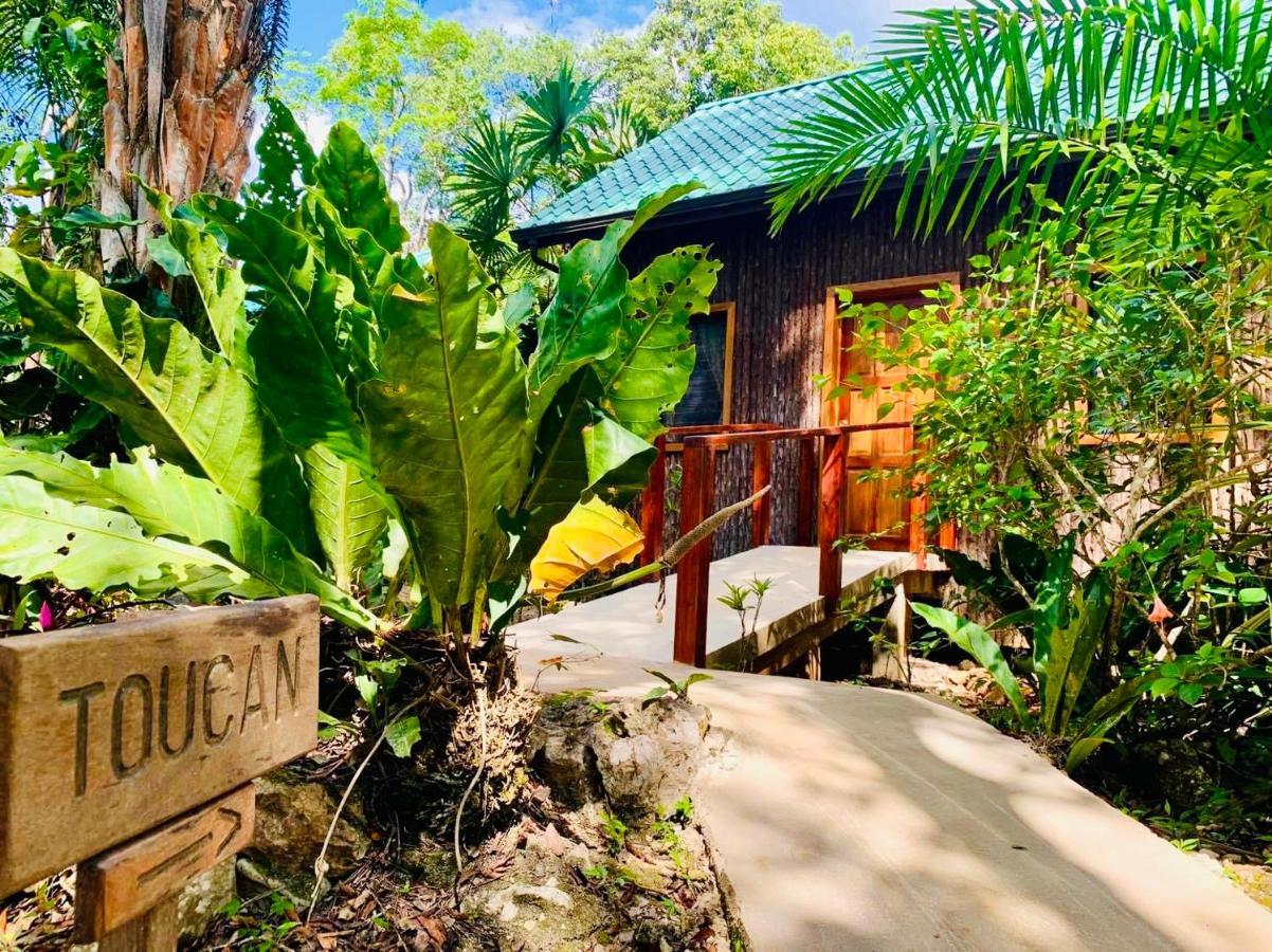 Mariposa Jungle Lodge San Ignacio Exteriör bild