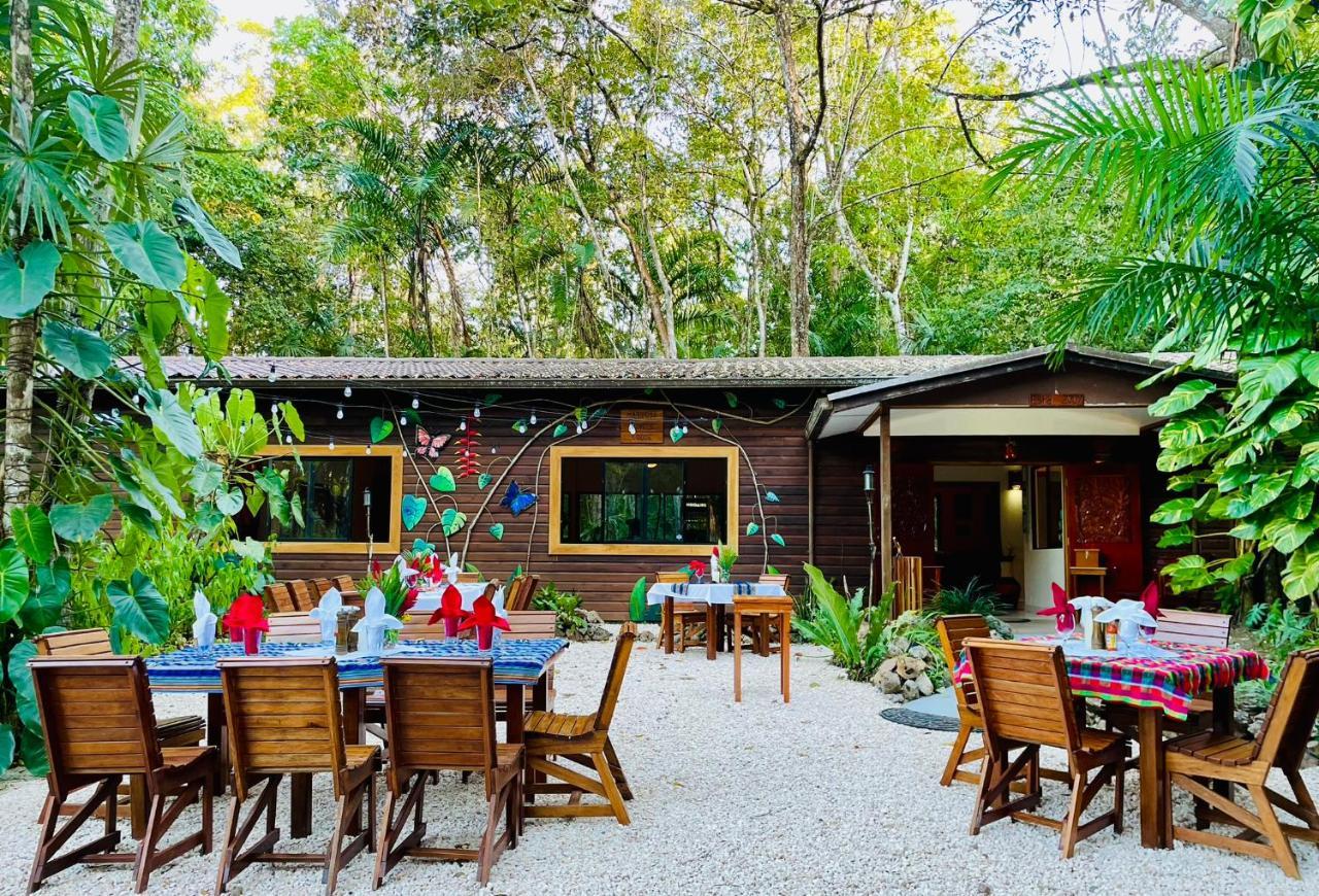Mariposa Jungle Lodge San Ignacio Exteriör bild