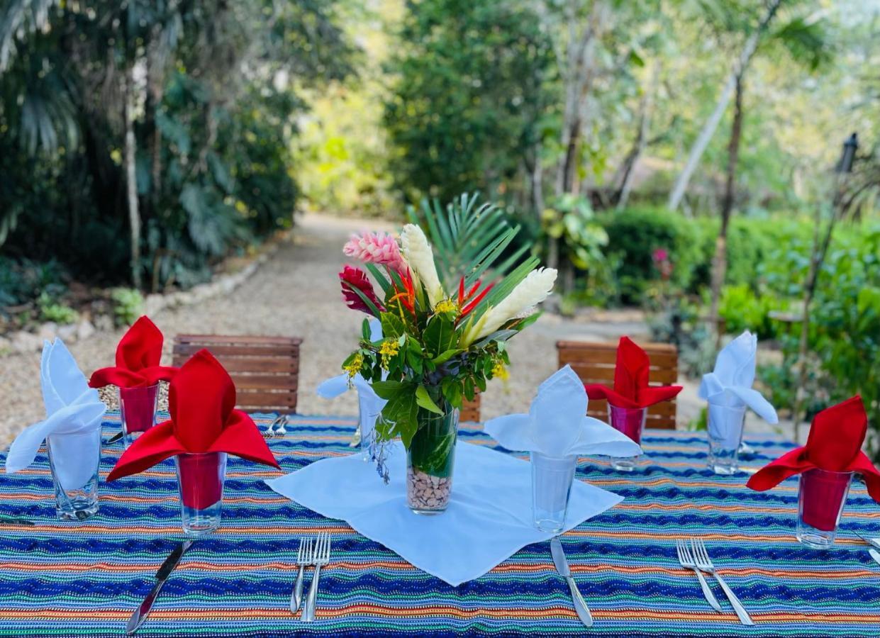 Mariposa Jungle Lodge San Ignacio Exteriör bild