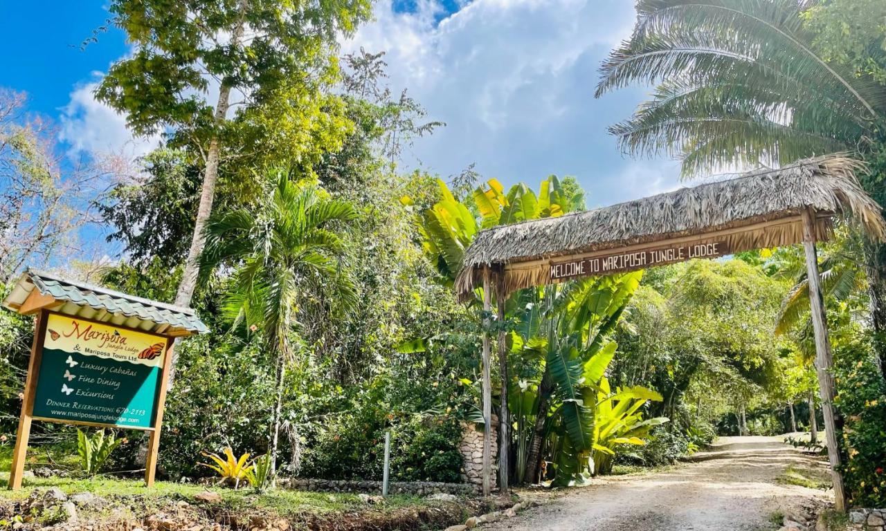 Mariposa Jungle Lodge San Ignacio Exteriör bild