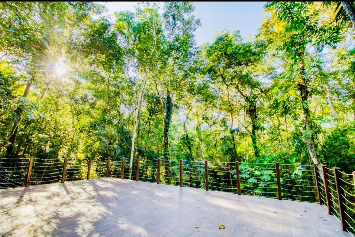 Mariposa Jungle Lodge San Ignacio Exteriör bild